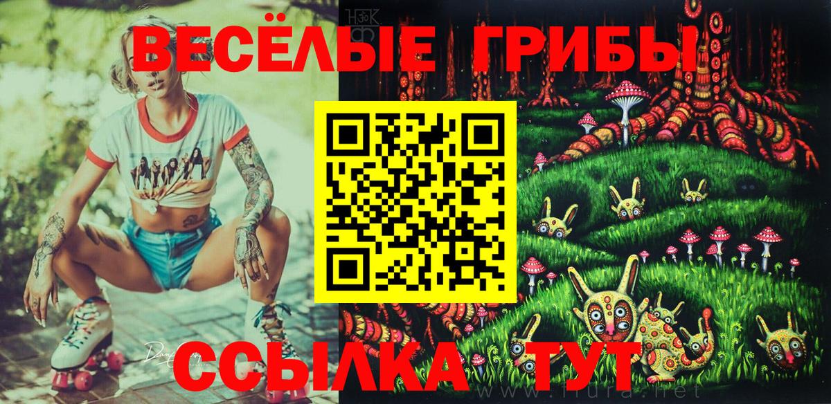 Галлюциногенные грибы Magic Shrooms  Вход с VPN  Псилоцибиновые грибы ЛСД  Богородицк 