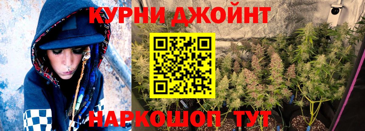 Шишки марихуана тримм  Марихуана планчик  Вход с VPN  Богородицк  Марихуана тримм 